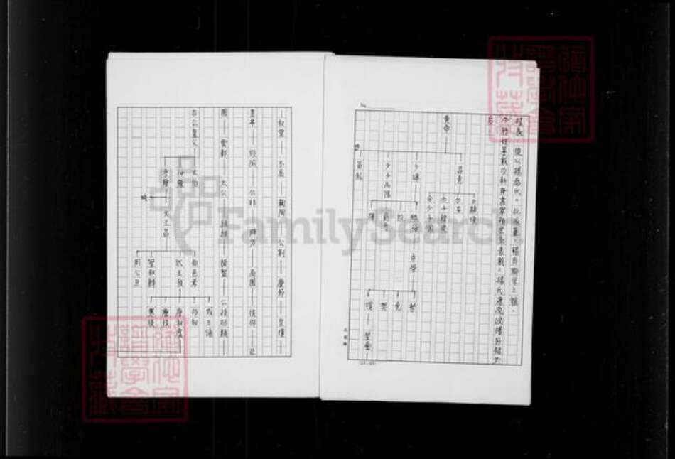 四川省宜宾市高县杨氏族谱-杨氏族谱.pdf电子版预览图4