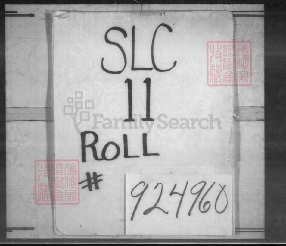 福建省广东省杨氏族谱-杨氏大宗谱.pdf电子版缩略图