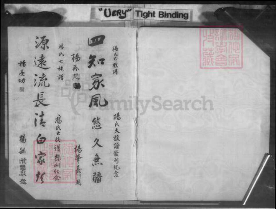 福建省广东省杨氏族谱-杨氏大宗谱.pdf电子版预览图5