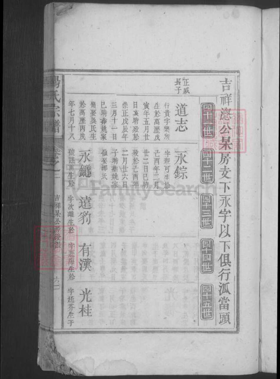 江西省九江市湖口县杨氏族谱-杨氏宗谱.pdf电子版预览图3