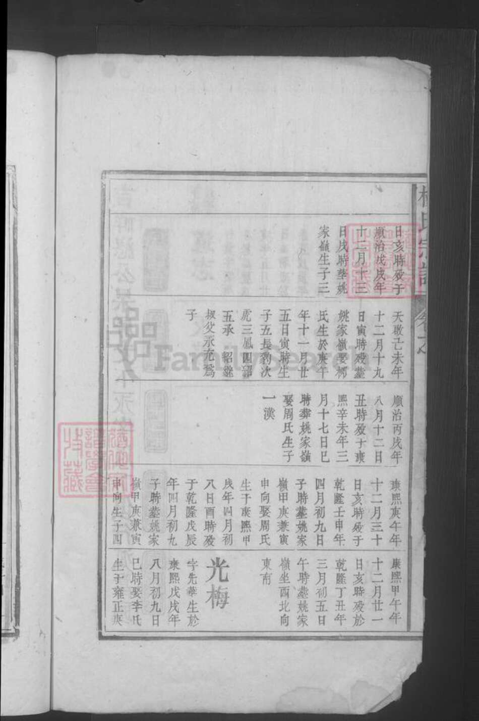 江西省九江市湖口县杨氏族谱-杨氏宗谱.pdf电子版预览图4