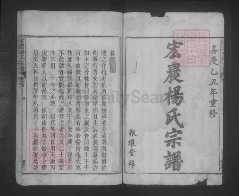 江西省九江市都昌县杨氏族谱-宏农杨氏宗谱 [3卷,首1卷].pdf电子版预览图1