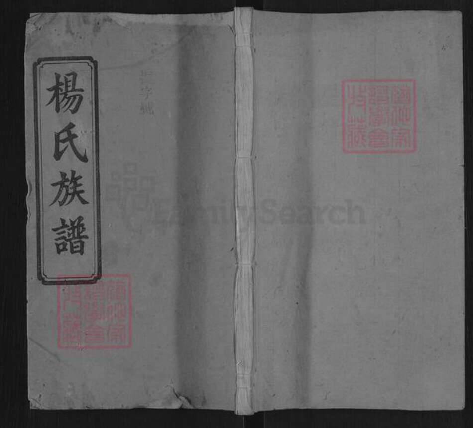 湖南省长沙市雨花区杨氏宏农堂族谱-杨氏族谱.pdf电子版缩略图