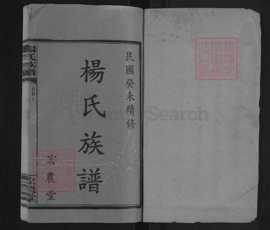 湖南省长沙市雨花区杨氏宏农堂族谱-杨氏族谱.pdf电子版预览图1