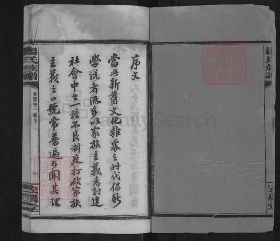 湖南省长沙市雨花区杨氏宏农堂族谱-杨氏族谱.pdf电子版预览图2