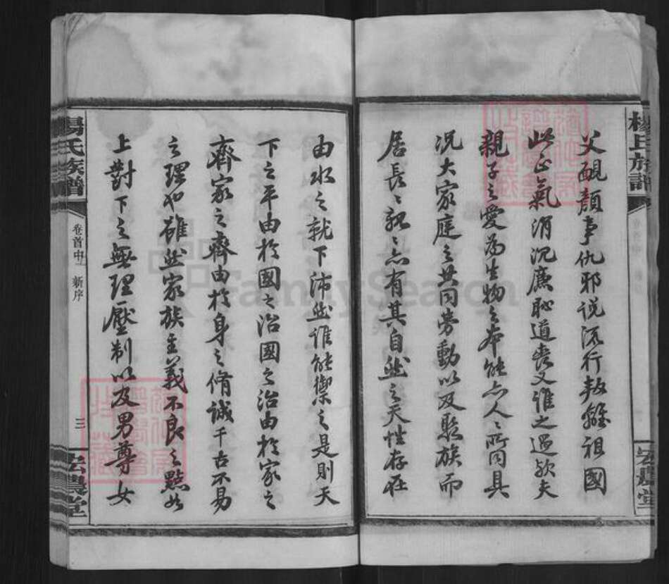 湖南省长沙市雨花区杨氏宏农堂族谱-杨氏族谱.pdf电子版预览图4