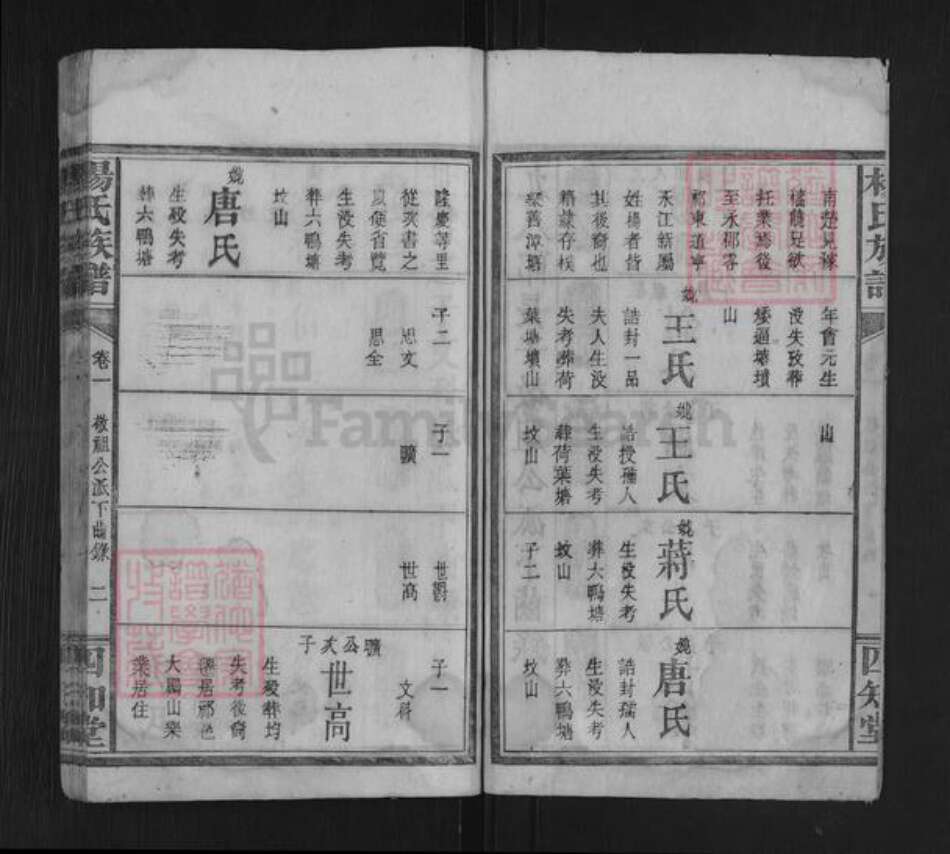 湖南省永州市杨氏四知堂族谱-杨氏族谱.pdf电子版预览图2