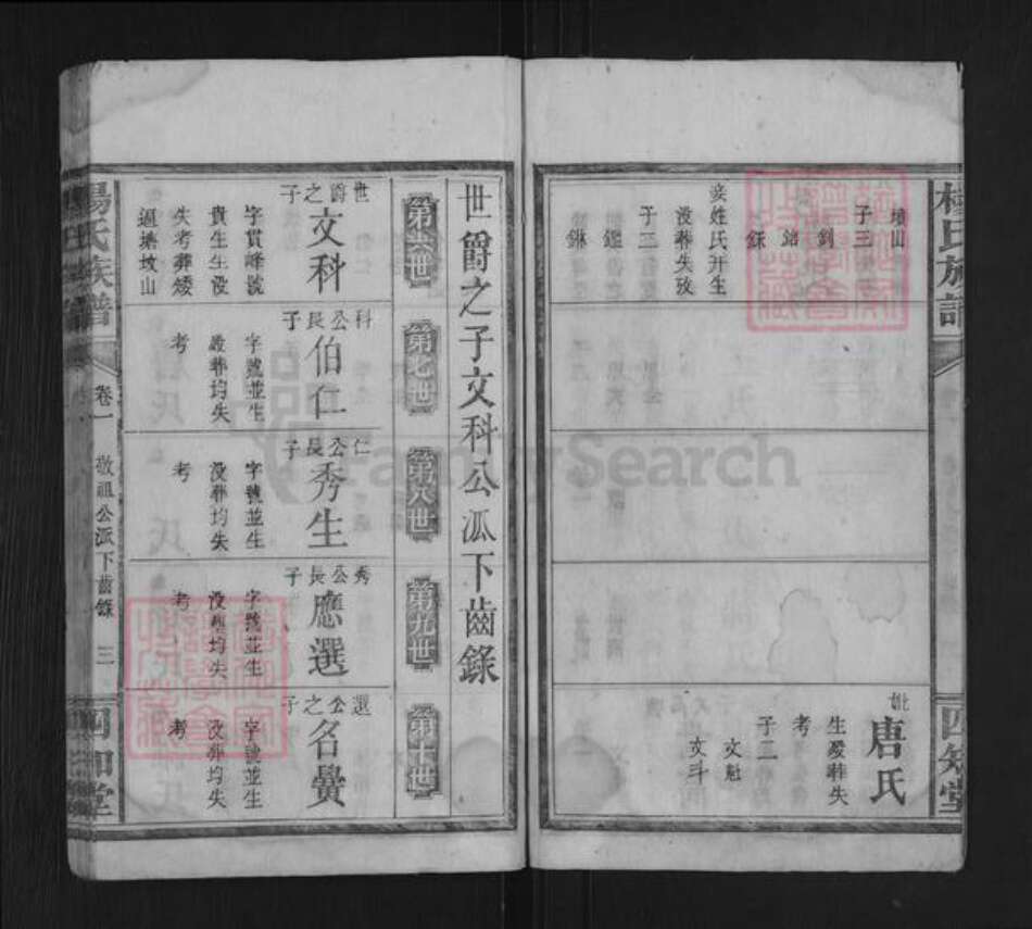 湖南省永州市杨氏四知堂族谱-杨氏族谱.pdf电子版预览图3