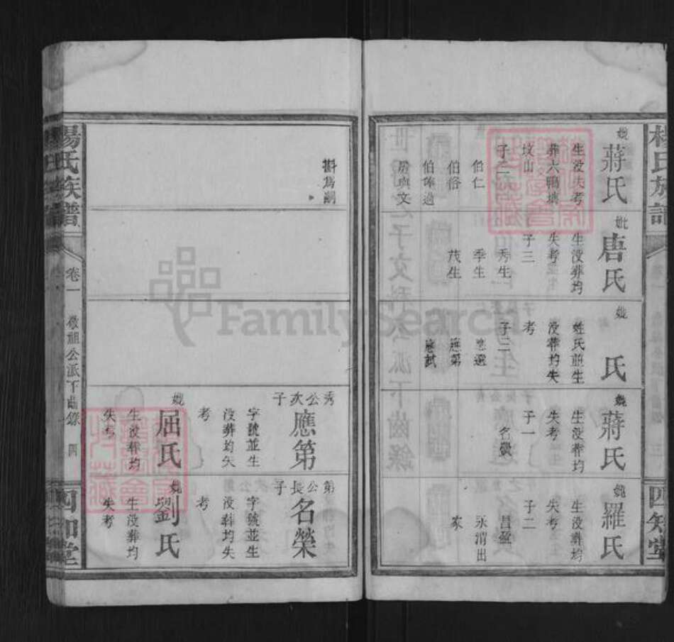 湖南省永州市杨氏四知堂族谱-杨氏族谱.pdf电子版预览图4