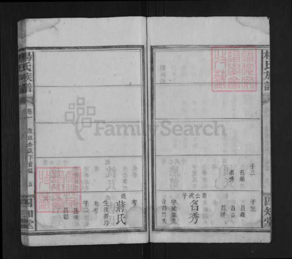 湖南省永州市杨氏四知堂族谱-杨氏族谱.pdf电子版预览图5