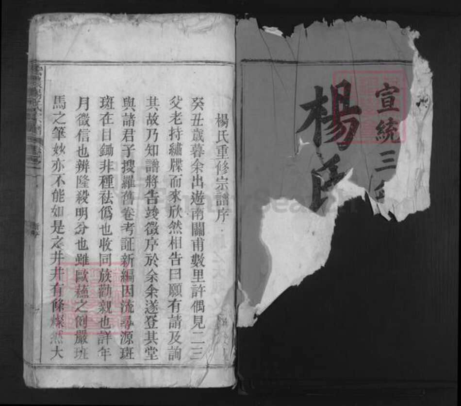 安徽省池州市东至县张溪镇杨氏族谱-宏农杨氏宗谱.pdf电子版预览图1