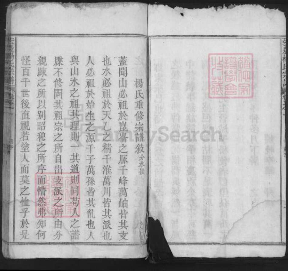 安徽省池州市东至县张溪镇杨氏族谱-宏农杨氏宗谱.pdf电子版预览图3