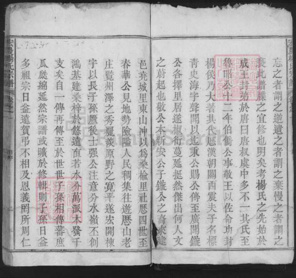 安徽省池州市东至县张溪镇杨氏族谱-宏农杨氏宗谱.pdf电子版预览图4