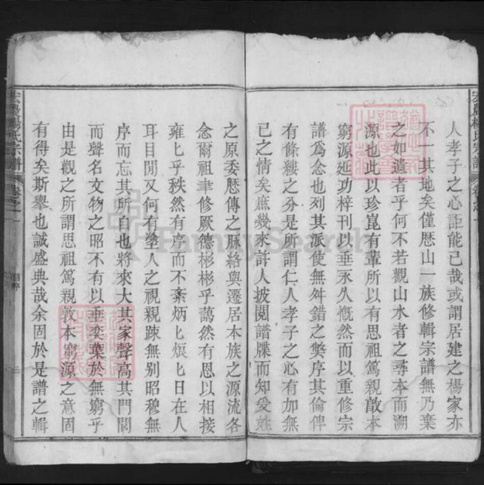 安徽省池州市东至县张溪镇杨氏族谱-宏农杨氏宗谱.pdf电子版预览图5