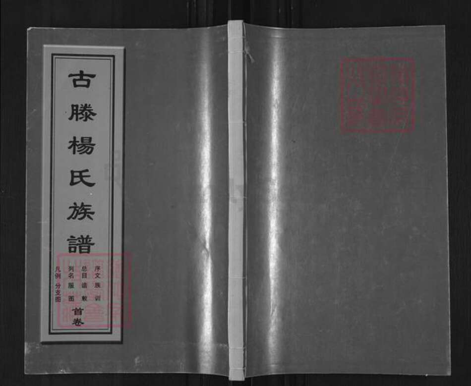 山东省枣庄市滕州市官桥镇杨氏四知堂族谱-古滕杨氏族谱.pdf电子版缩略图