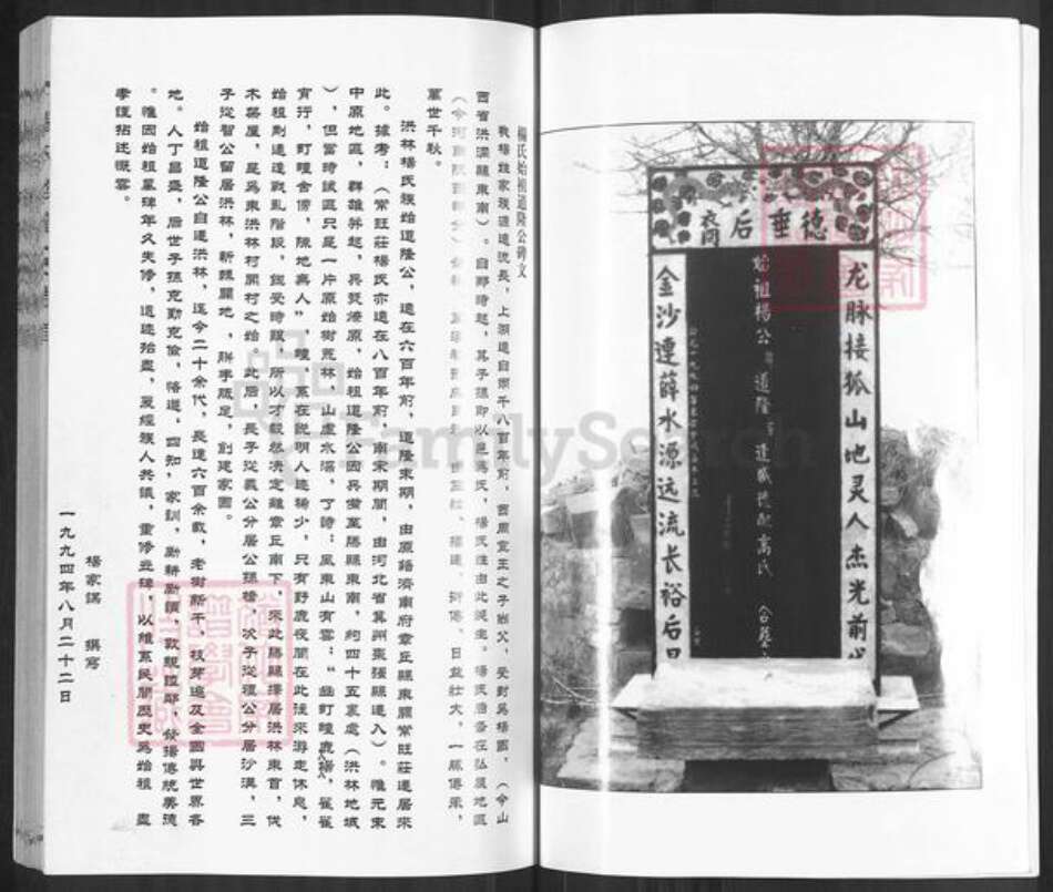 山东省枣庄市滕州市官桥镇杨氏四知堂族谱-古滕杨氏族谱.pdf电子版预览图2