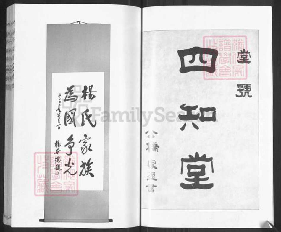 山东省枣庄市滕州市官桥镇杨氏四知堂族谱-古滕杨氏族谱.pdf电子版预览图3