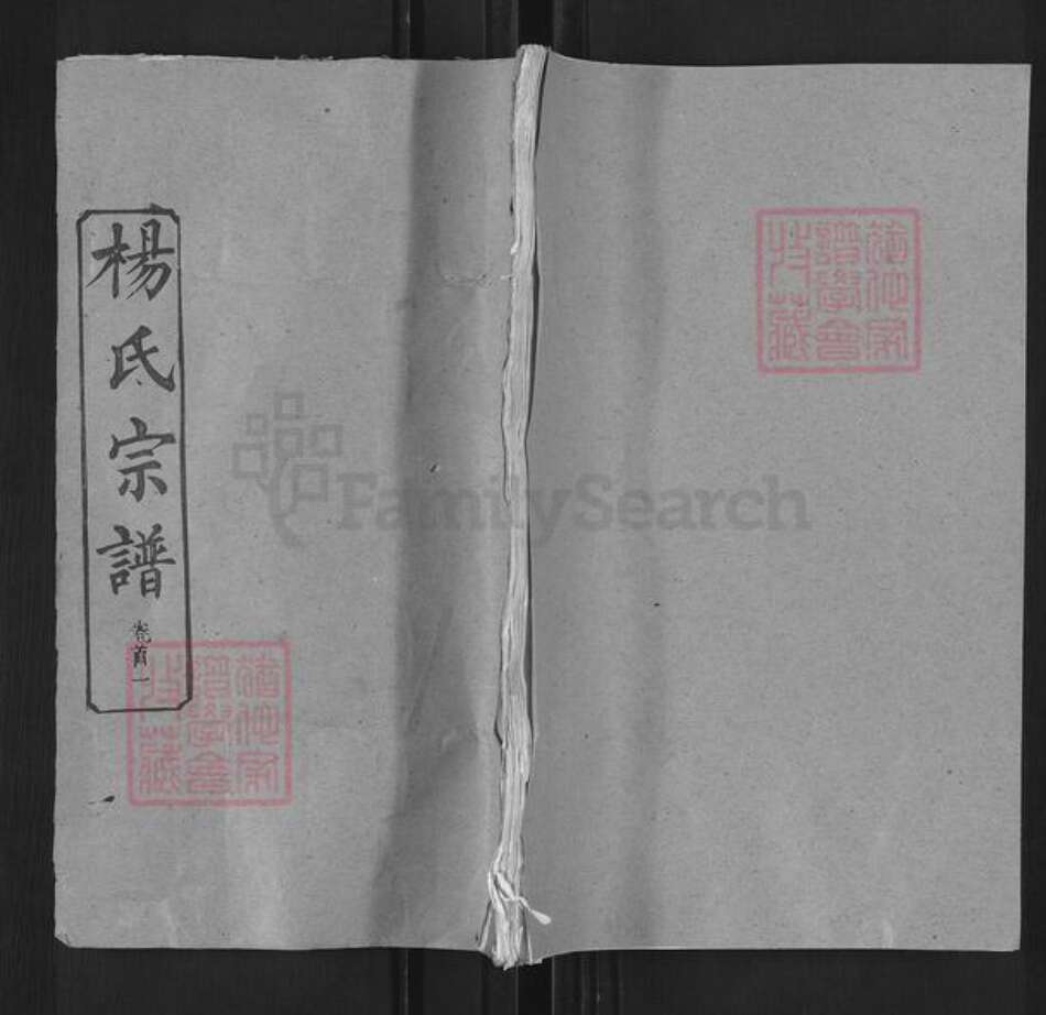 湖北省武汉市新洲区杨氏清白堂族谱-杨氏宗谱.pdf电子版缩略图