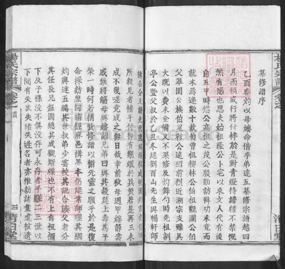 湖北省武汉市新洲区杨氏清白堂族谱-杨氏宗谱.pdf电子版预览图5