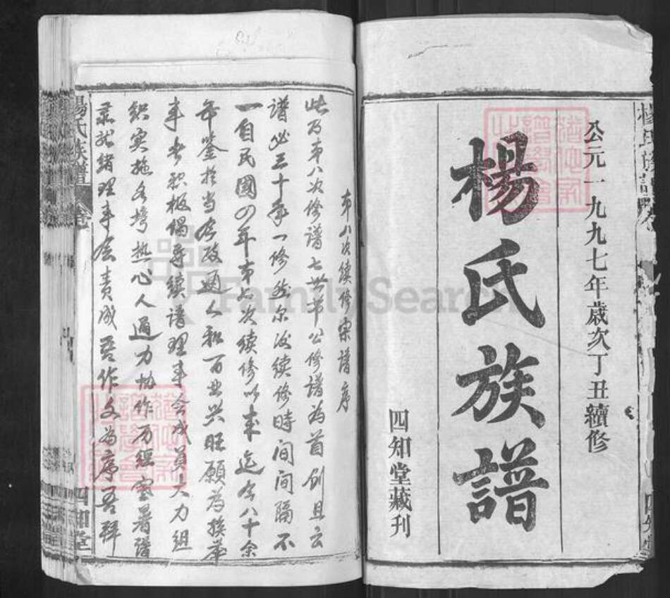 湖北省黄冈市红安县杨氏四知堂族谱-杨氏族谱.pdf电子版预览图1