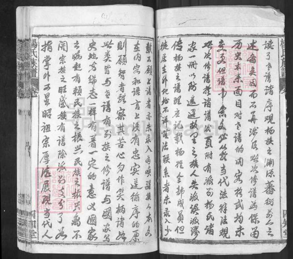 湖北省黄冈市红安县杨氏四知堂族谱-杨氏族谱.pdf电子版预览图2