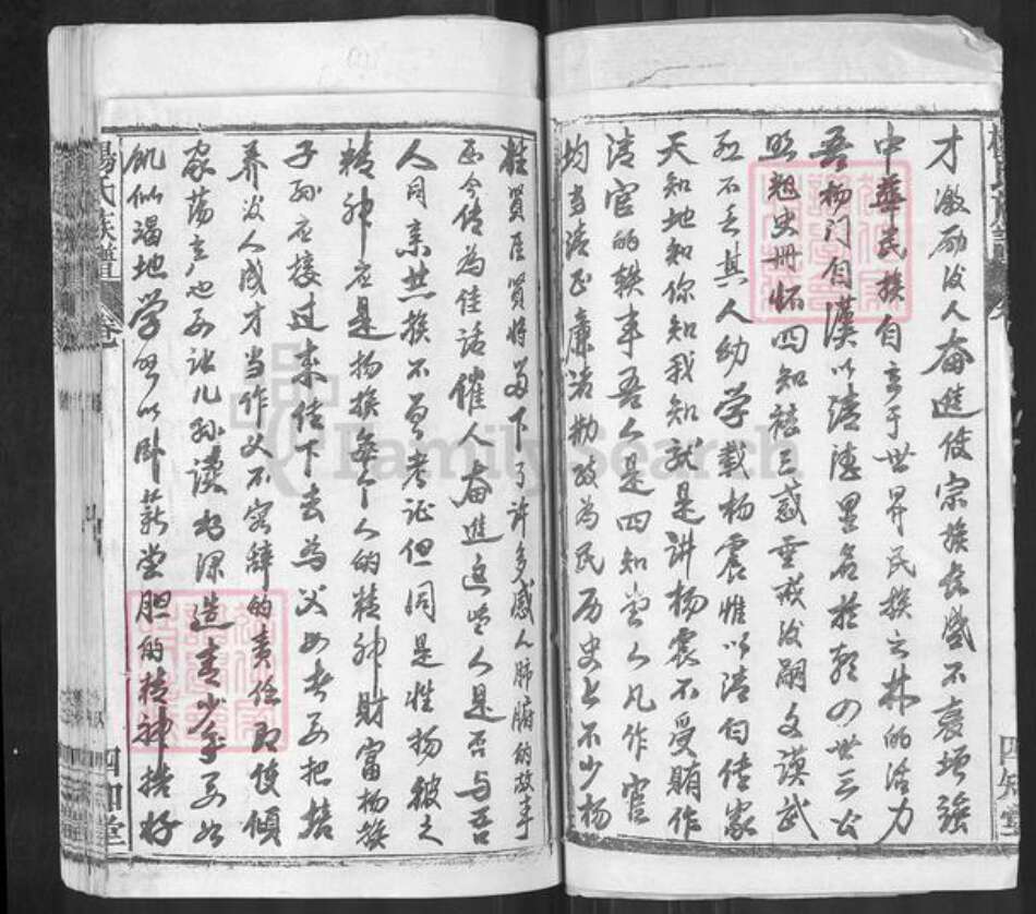 湖北省黄冈市红安县杨氏四知堂族谱-杨氏族谱.pdf电子版预览图3