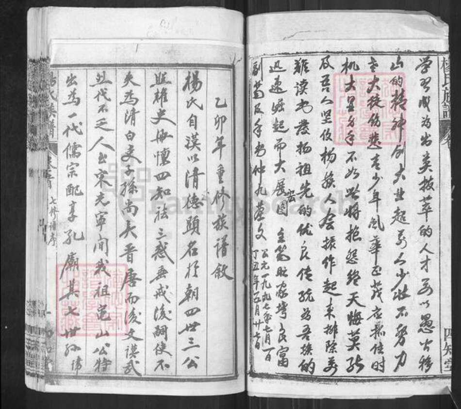 湖北省黄冈市红安县杨氏四知堂族谱-杨氏族谱.pdf电子版预览图4