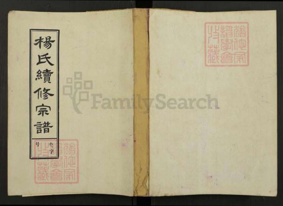 安徽省安庆市怀宁县月山镇杨氏族谱-杨氏续修宗谱.pdf电子版缩略图