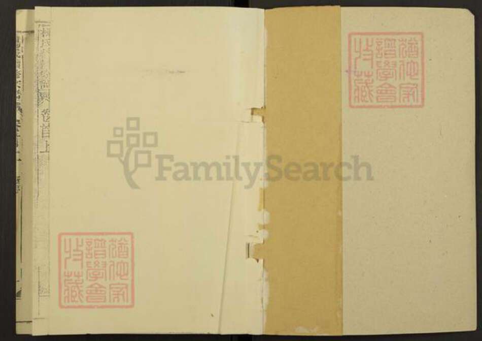 安徽省安庆市怀宁县月山镇杨氏族谱-杨氏续修宗谱.pdf电子版预览图1