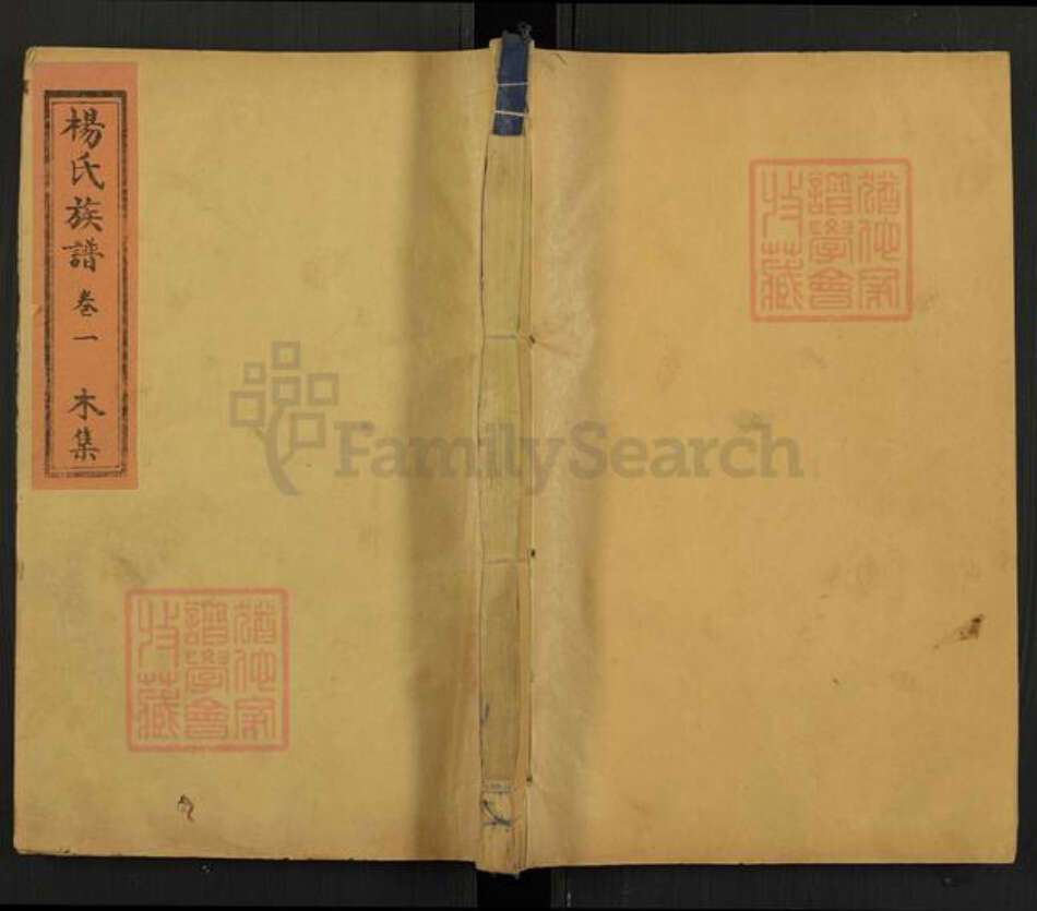 山东省泰安市杨氏中和堂族谱-杨氏族谱.pdf电子版缩略图