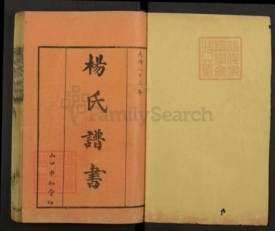 山东省泰安市杨氏中和堂族谱-杨氏族谱.pdf电子版预览图1