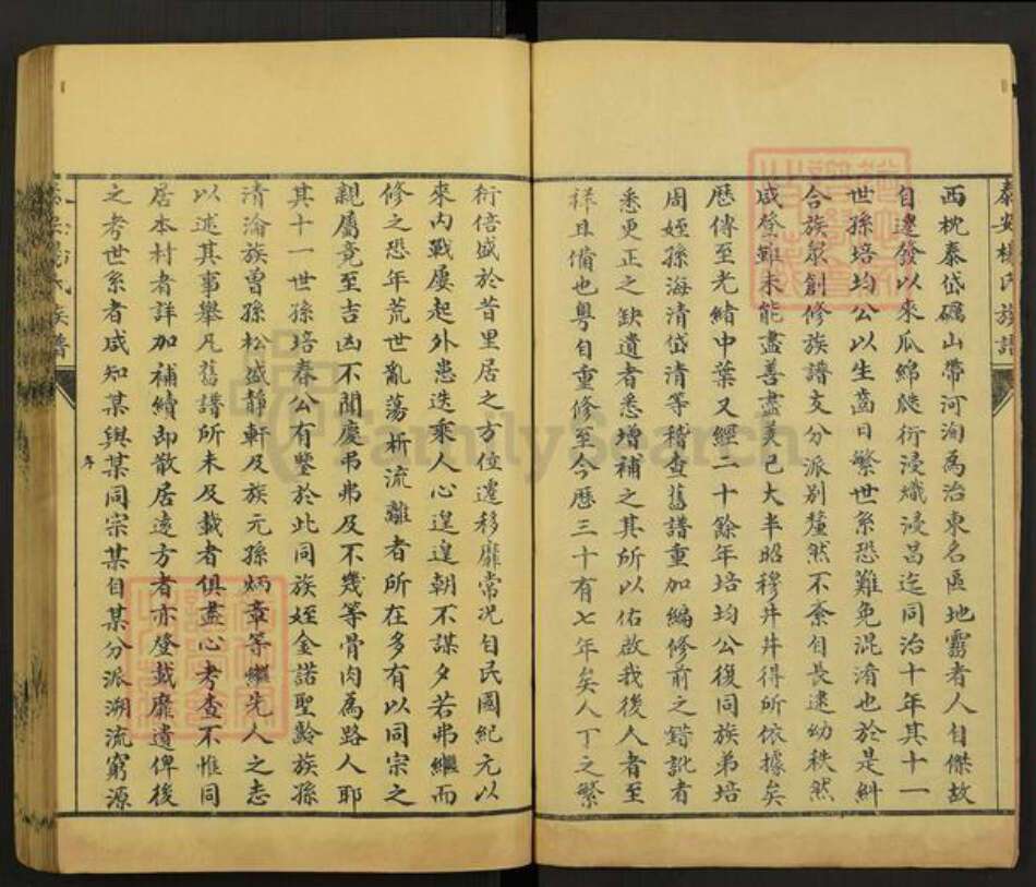 山东省泰安市杨氏中和堂族谱-杨氏族谱.pdf电子版预览图3