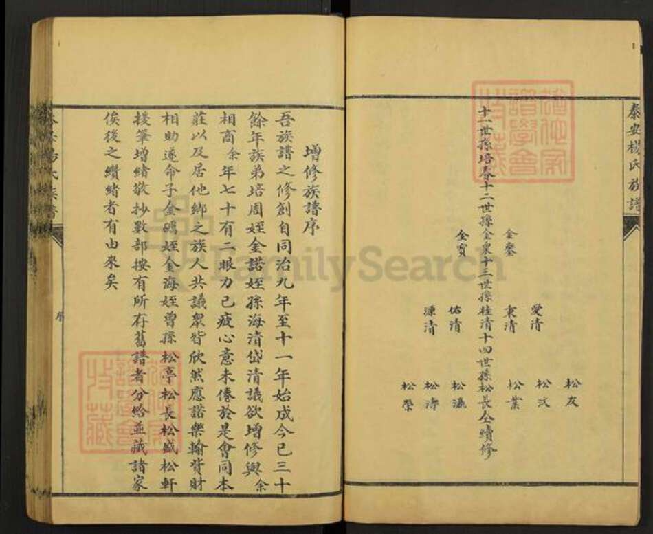 山东省泰安市杨氏中和堂族谱-杨氏族谱.pdf电子版预览图5