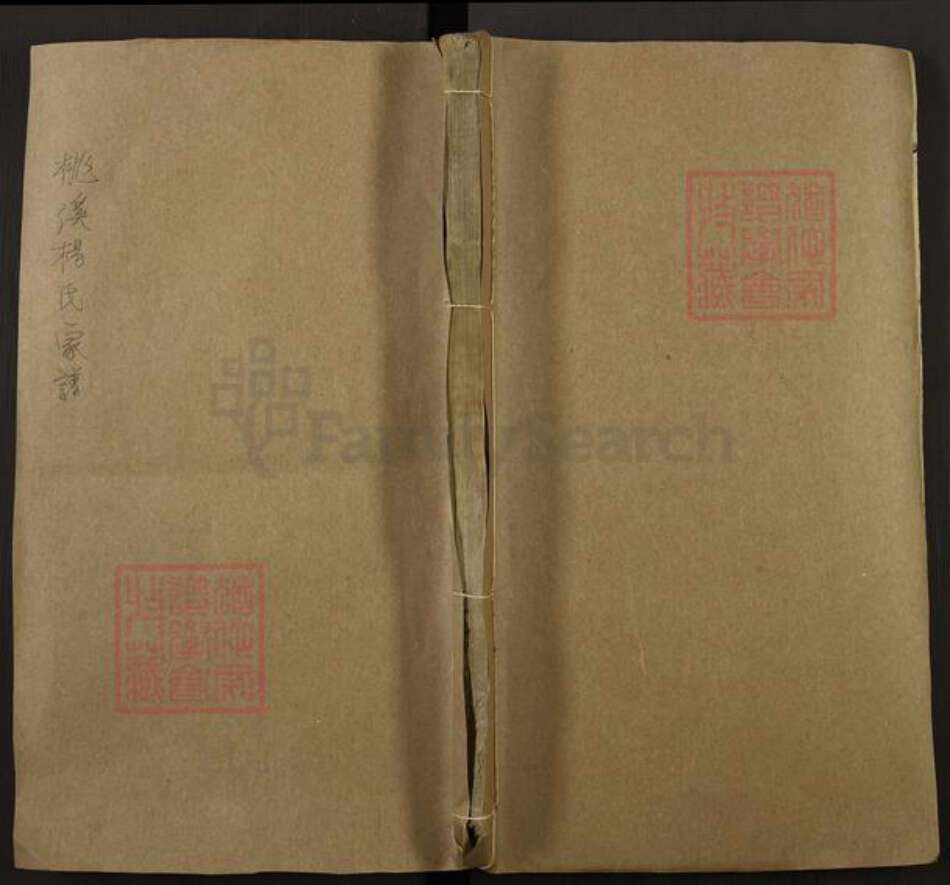 江西省吉安市新干县桃溪乡杨氏族谱-桃溪杨氏家谱.pdf电子版缩略图