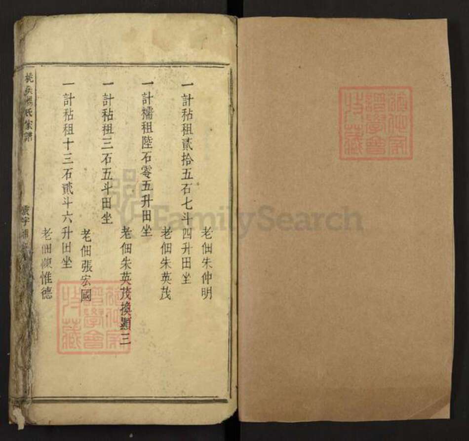 江西省吉安市新干县桃溪乡杨氏族谱-桃溪杨氏家谱.pdf电子版预览图1