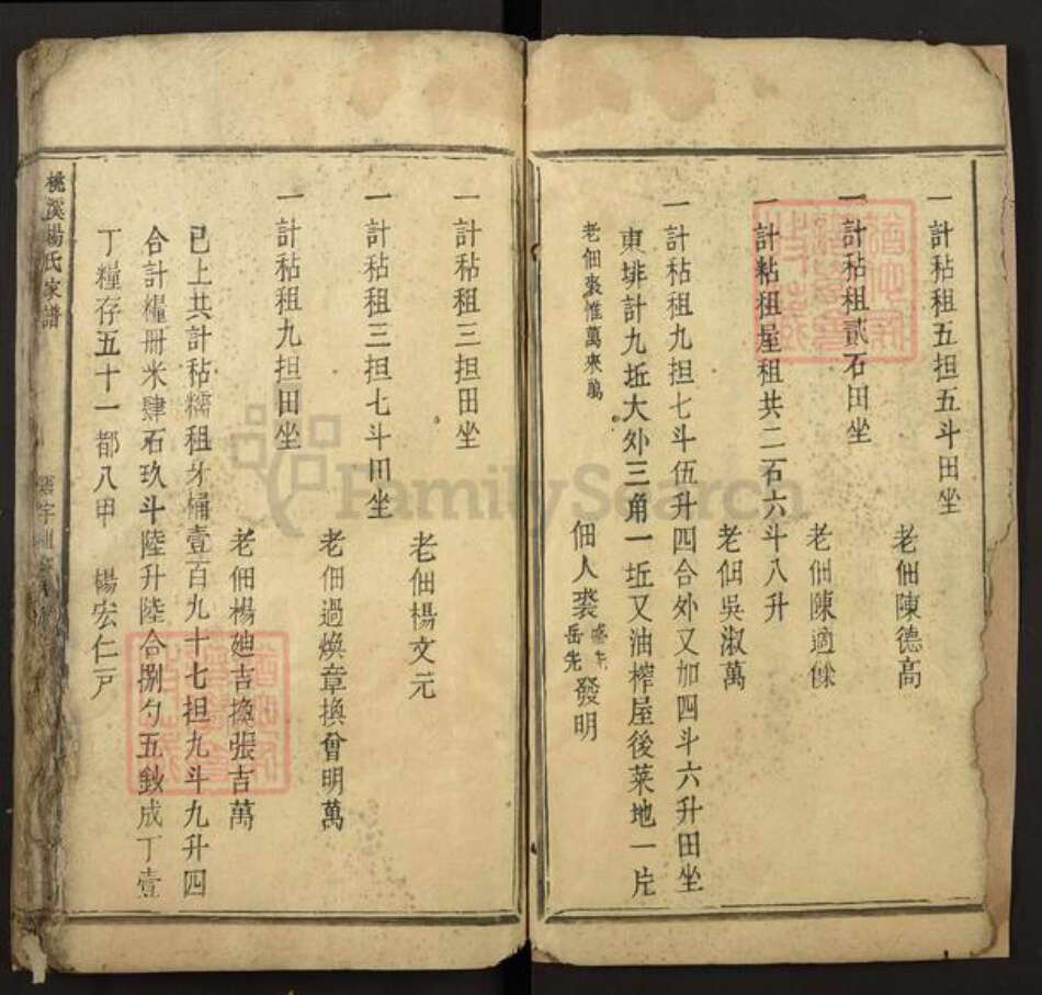 江西省吉安市新干县桃溪乡杨氏族谱-桃溪杨氏家谱.pdf电子版预览图2