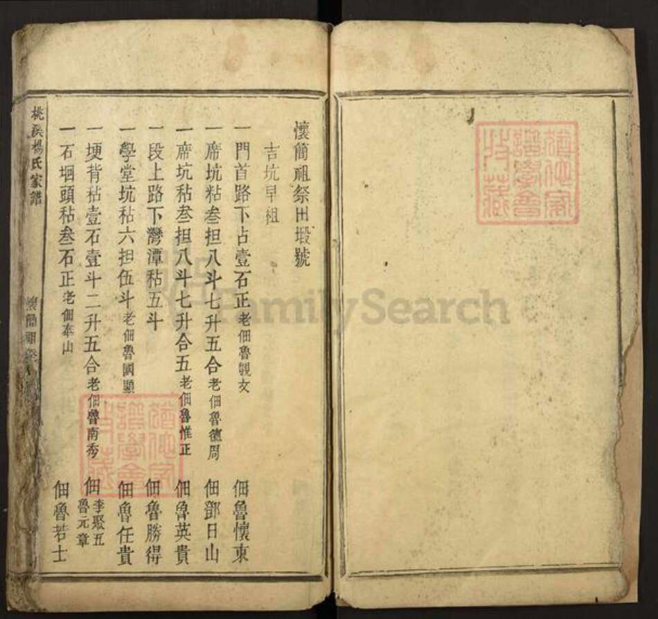 江西省吉安市新干县桃溪乡杨氏族谱-桃溪杨氏家谱.pdf电子版预览图3