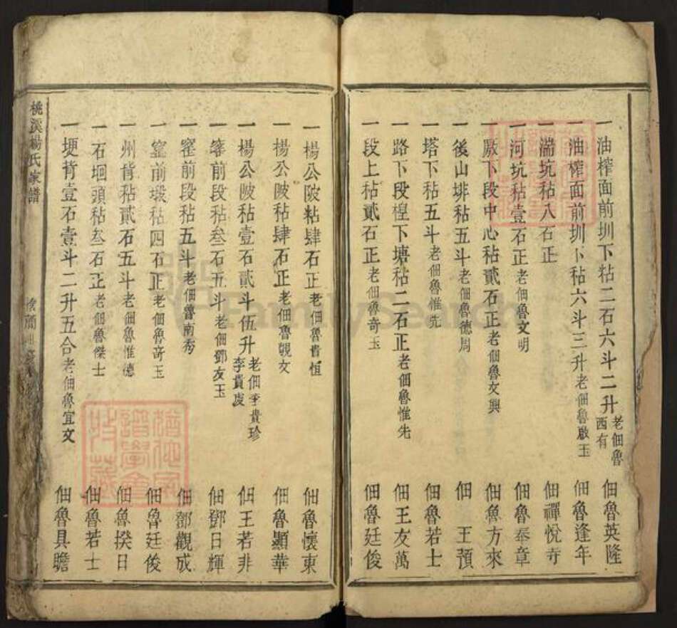 江西省吉安市新干县桃溪乡杨氏族谱-桃溪杨氏家谱.pdf电子版预览图4