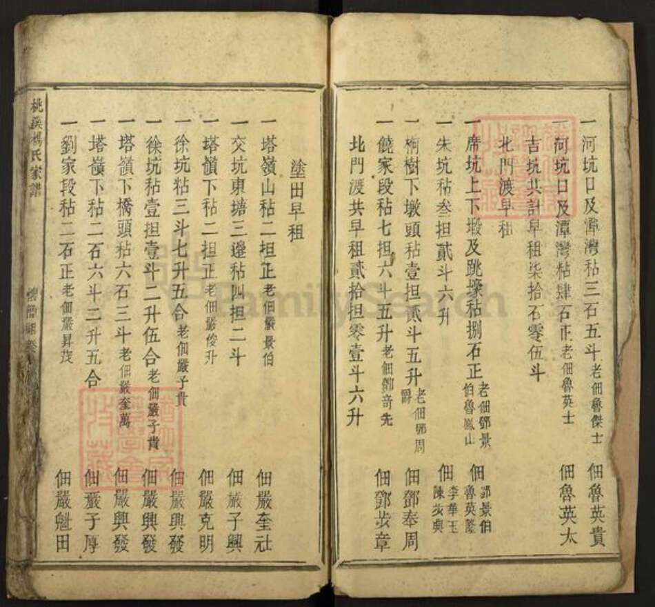 江西省吉安市新干县桃溪乡杨氏族谱-桃溪杨氏家谱.pdf电子版预览图5