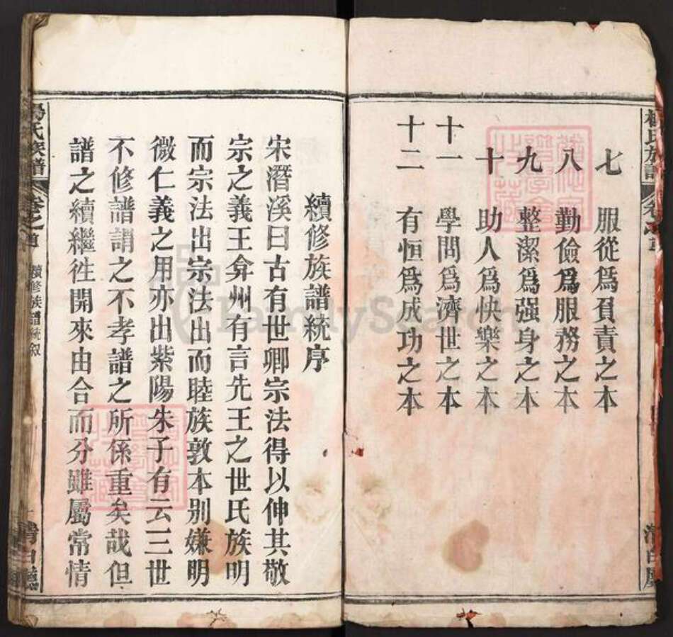 湖北省黄冈市麻城市杨氏族谱-杨氏族谱.pdf电子版预览图2