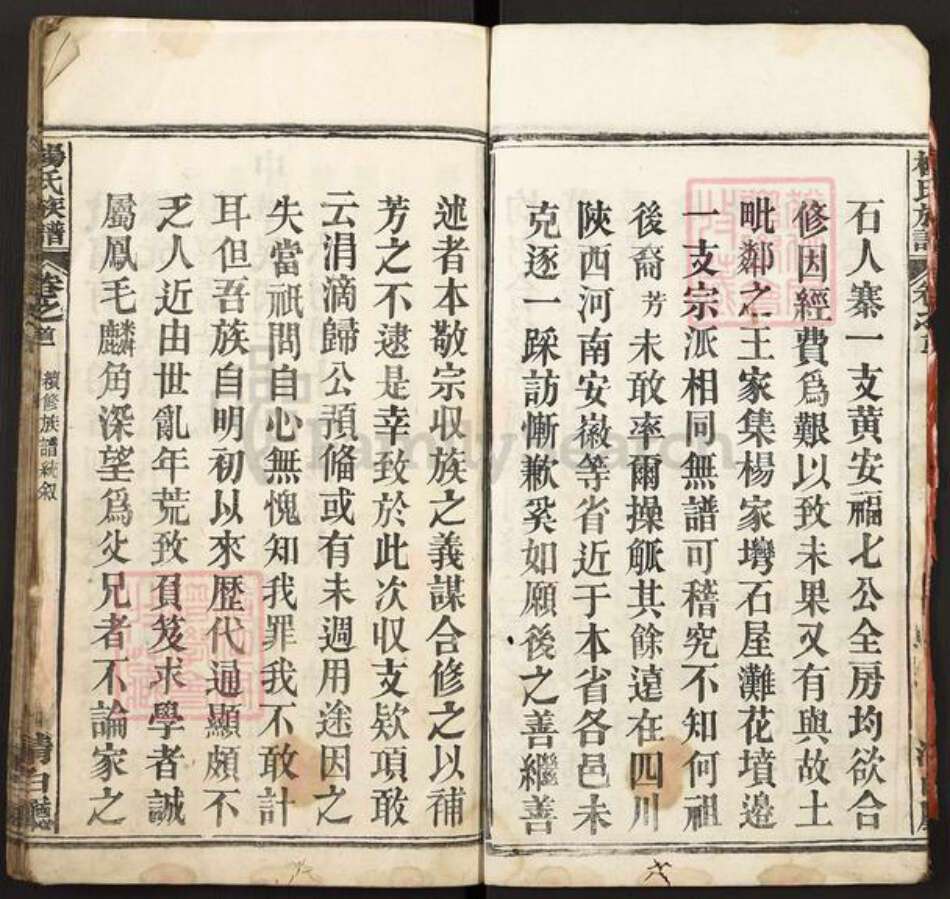 湖北省黄冈市麻城市杨氏族谱-杨氏族谱.pdf电子版预览图5