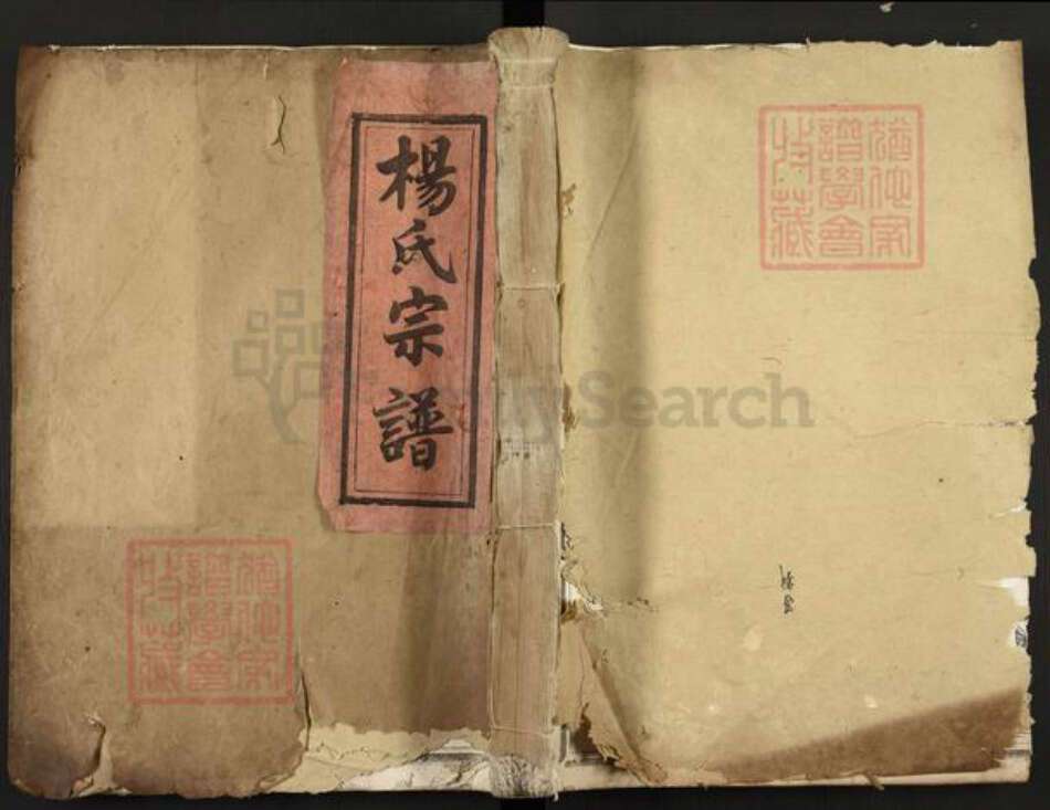 河南省杨氏清德堂族谱-弘农杨氏宗谱.pdf电子版缩略图