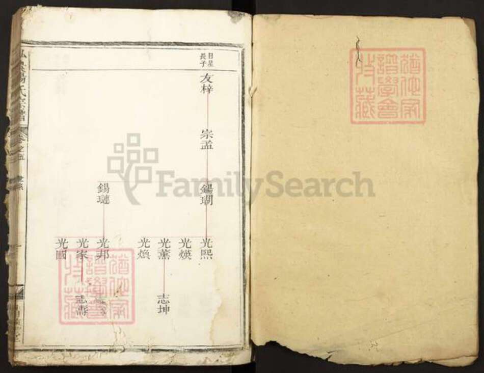 河南省杨氏清德堂族谱-弘农杨氏宗谱.pdf电子版预览图1