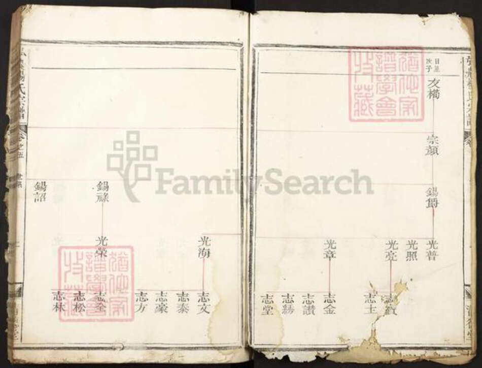 河南省杨氏清德堂族谱-弘农杨氏宗谱.pdf电子版预览图2