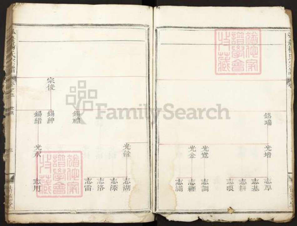 河南省杨氏清德堂族谱-弘农杨氏宗谱.pdf电子版预览图3