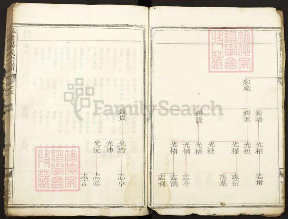 河南省杨氏清德堂族谱-弘农杨氏宗谱.pdf电子版预览图4