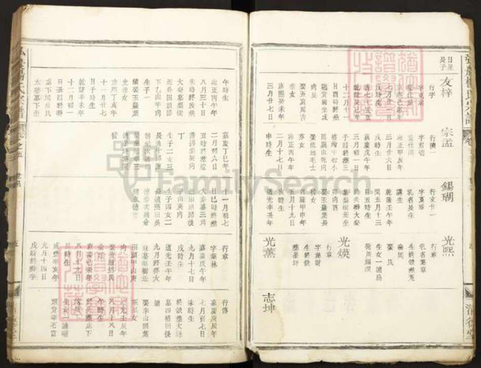 河南省杨氏清德堂族谱-弘农杨氏宗谱.pdf电子版预览图5