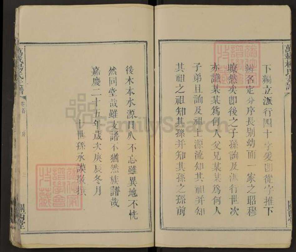 江西省宜春市万载县株潭镇杨氏关西堂族谱-万载杨氏支谱.pdf电子版预览图5