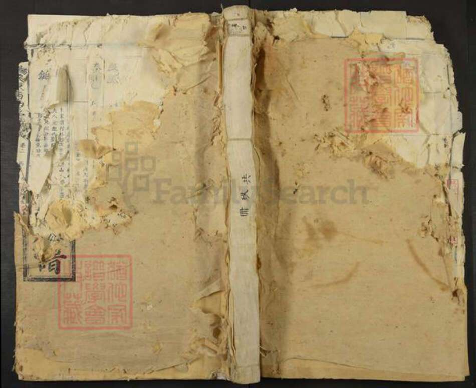 江西省吉安市泰和市杨氏族谱-泰和杨氏东西溪族谱.pdf电子版缩略图