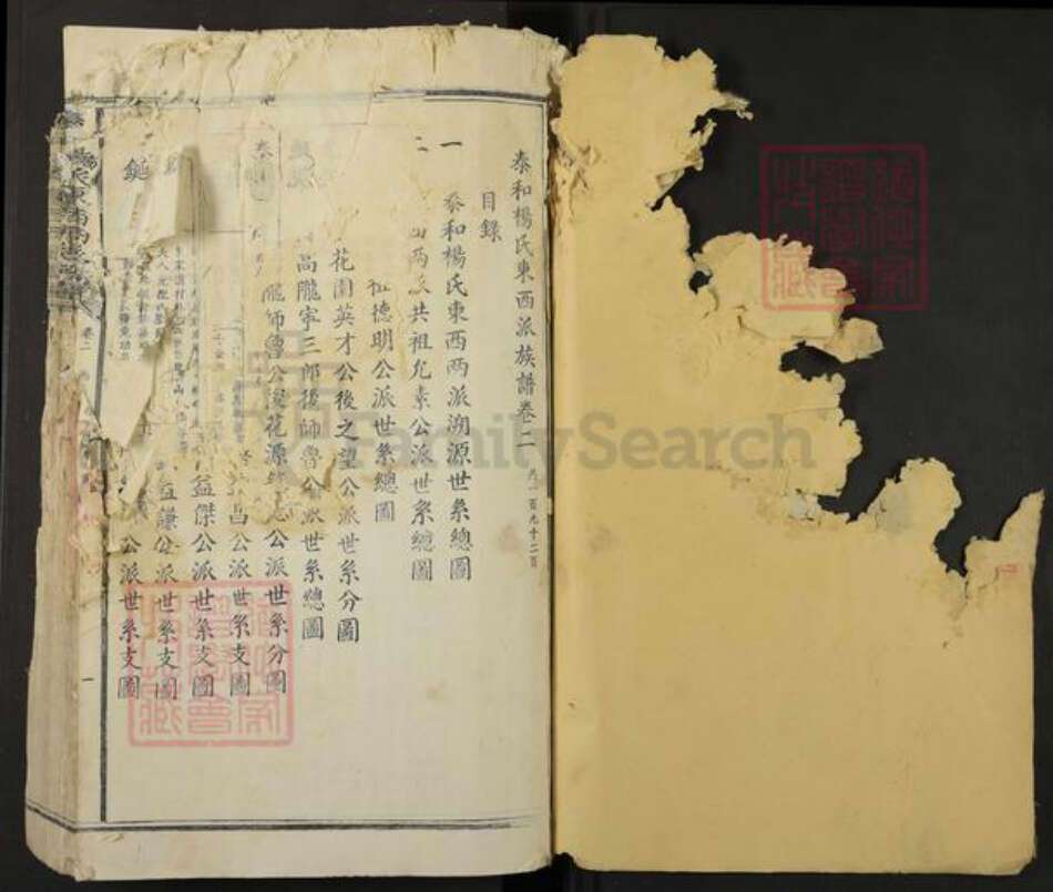 江西省吉安市泰和市杨氏族谱-泰和杨氏东西溪族谱.pdf电子版预览图1